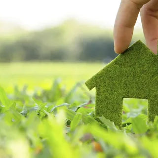 Why do we promote green living?