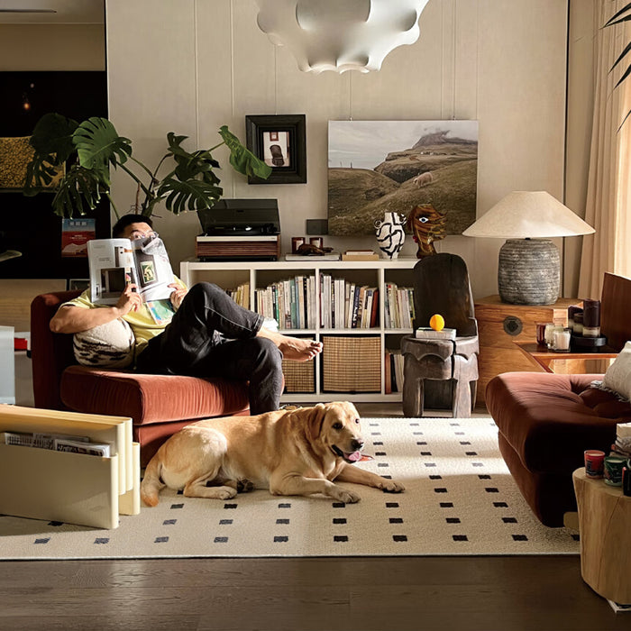 Airgugu Modern Minimalist Rug