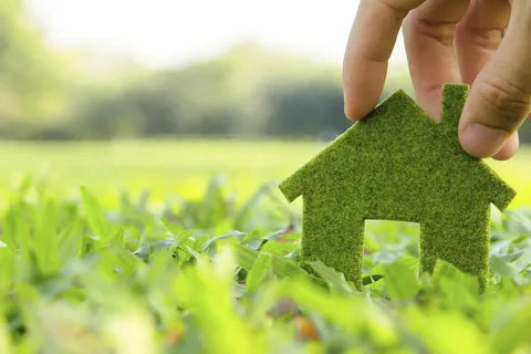 Why do we promote green living?