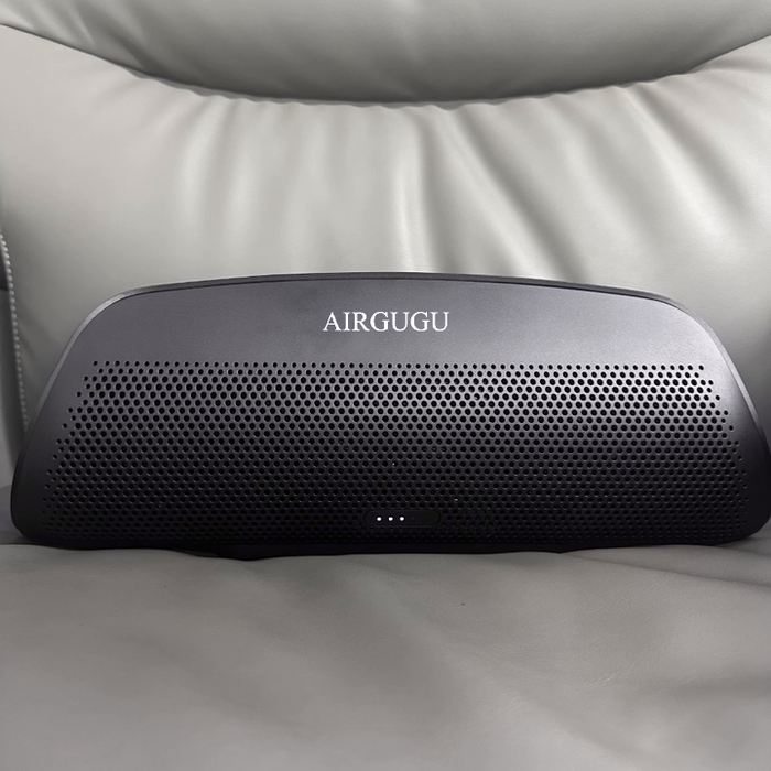 AIRGUGU Weather-Resistant Wireless Indoor Outdoor Speaker