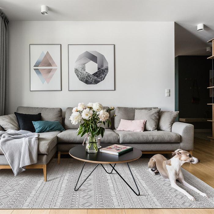 Airgugu Modern Minimalist Symmetrical Grey/Pink Rug